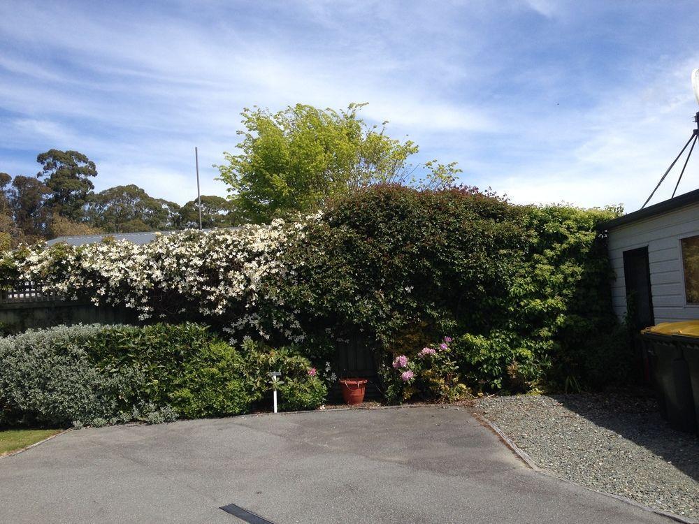 Arran Motel